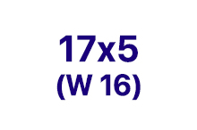 Вариаторные ремни 17 x 5 (W16)