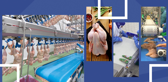 Транспортерные ленты для Мяса птицы